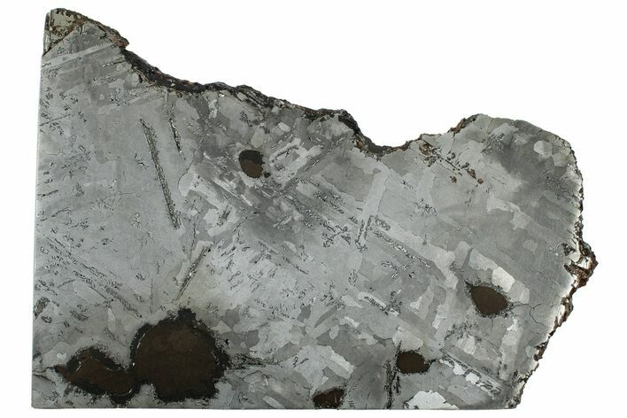 Nantan Iron Meteorite ( g) Slice - China #313642